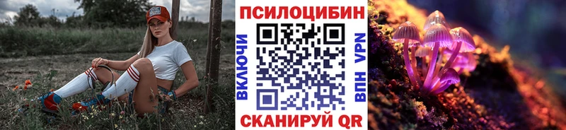 Псилоцибиновые грибы мицелий  Лермонтов 